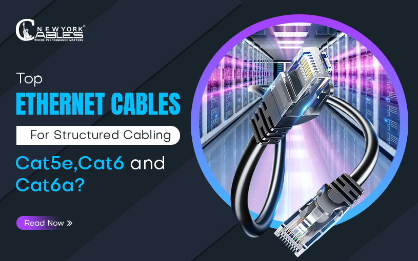 Top Ethernet Cables for Structured Cabling: Cat5e or Cat6 or Cat6a?
